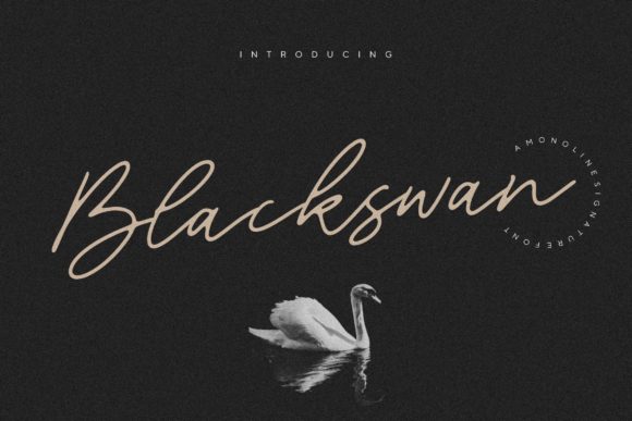 Blackswan: A Classy Handwritten Font