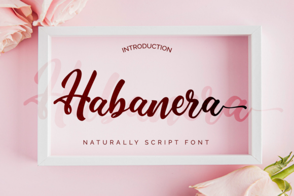 Habanera: A Script Amp for Real Design Work