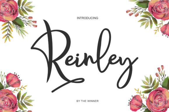 Reinley: A Stylish Font for Clear Campaigns