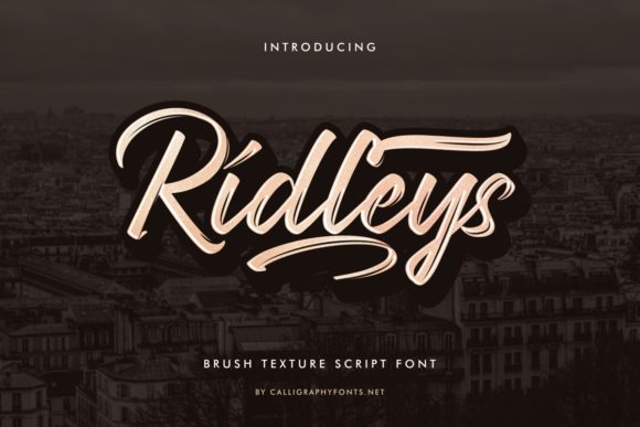 Ridleys: A Script Font for Editorial Elegance
