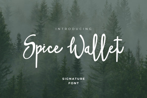 Spice Wallet Font for Creative Projects
